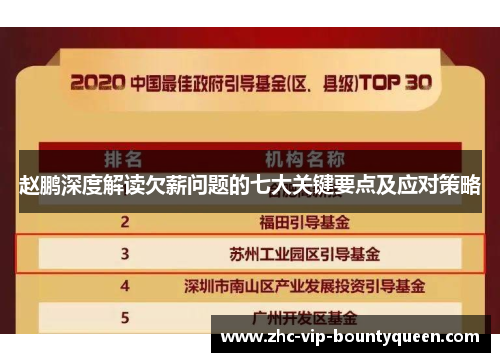 赵鹏深度解读欠薪问题的七大关键要点及应对策略