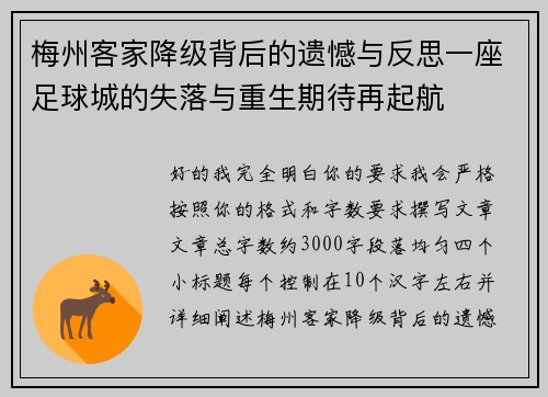 梅州客家降级背后的遗憾与反思一座足球城的失落与重生期待再起航