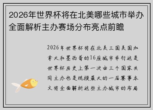 2026年世界杯将在北美哪些城市举办全面解析主办赛场分布亮点前瞻